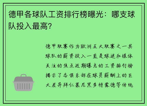 德甲各球队工资排行榜曝光：哪支球队投入最高？